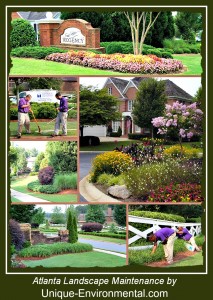 Atlanta Landscape Maintenance